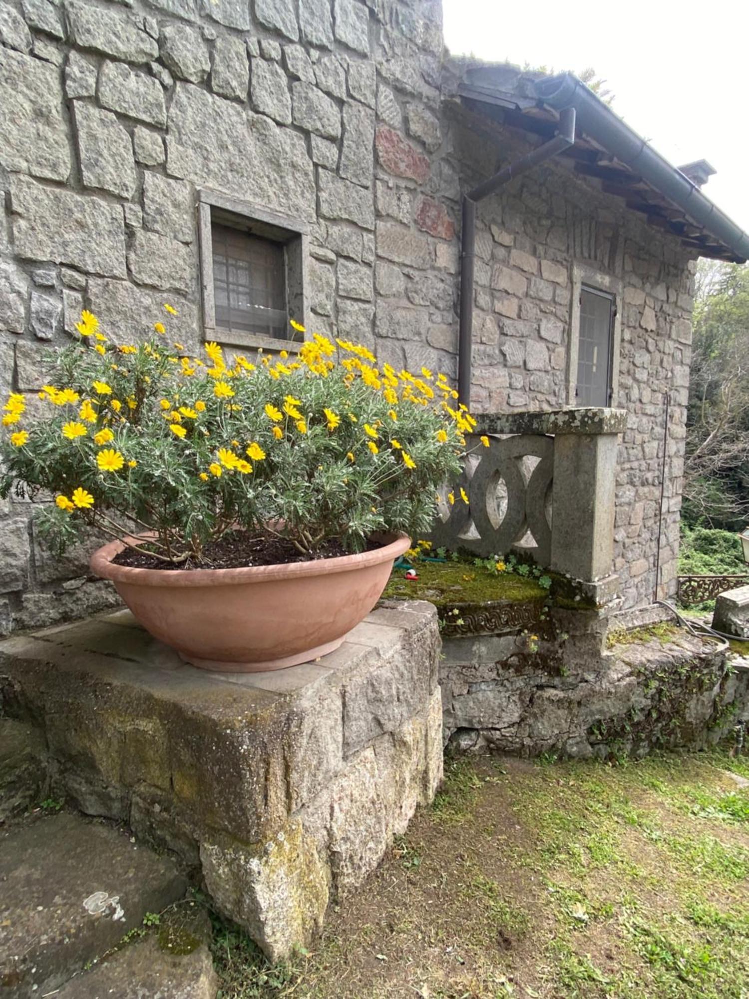 Il Castelletto Della Palanzana Villa Viterbo Eksteriør billede