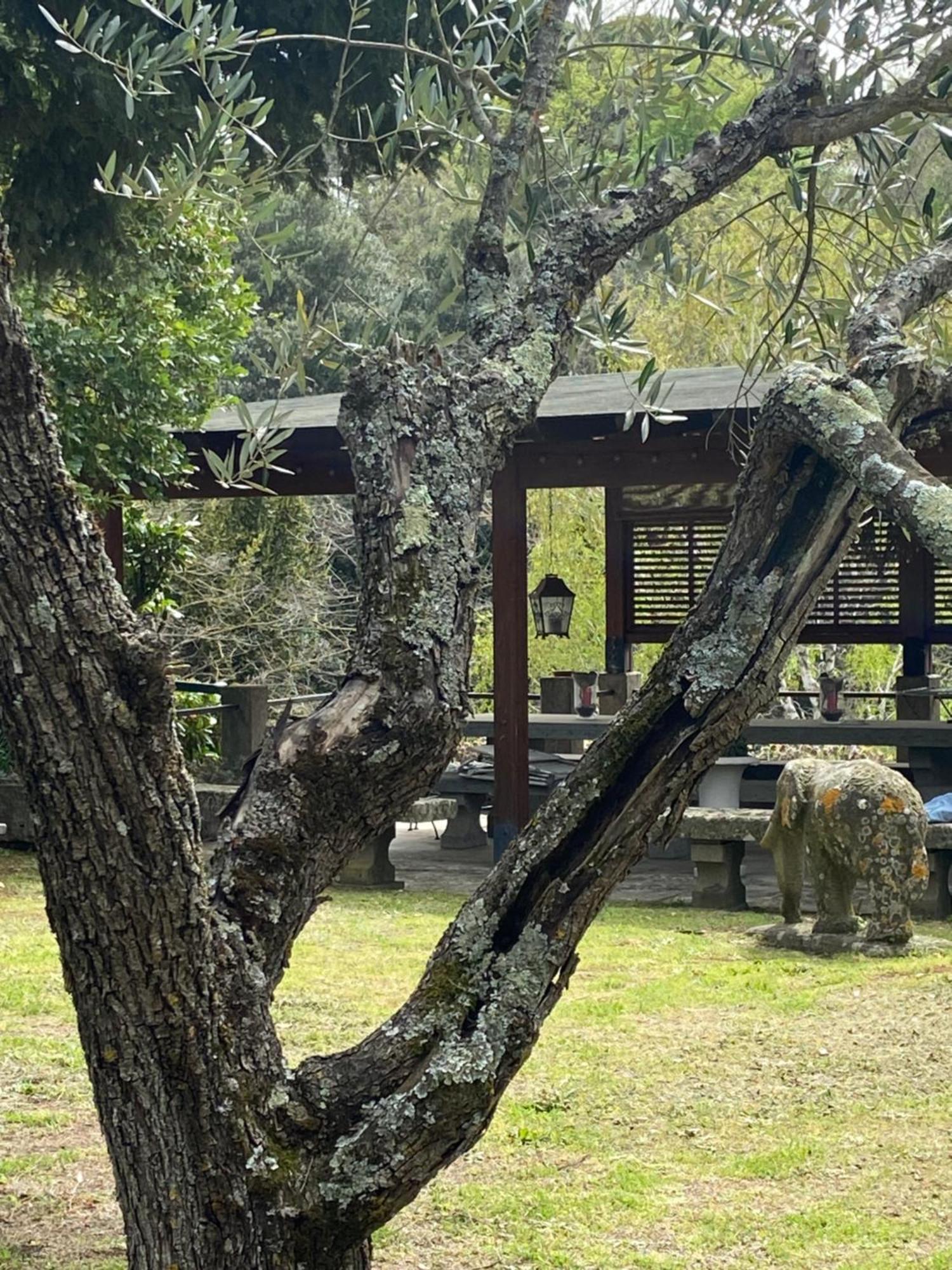 Il Castelletto Della Palanzana Villa Viterbo Eksteriør billede
